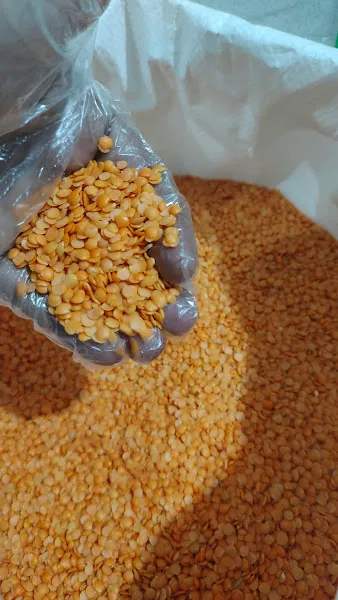 Sakhi Dekorasi