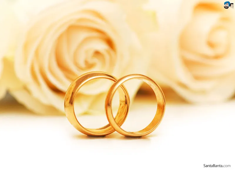 Mega Wedding Planner Bekasi