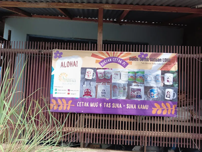 Hiana Souvenir