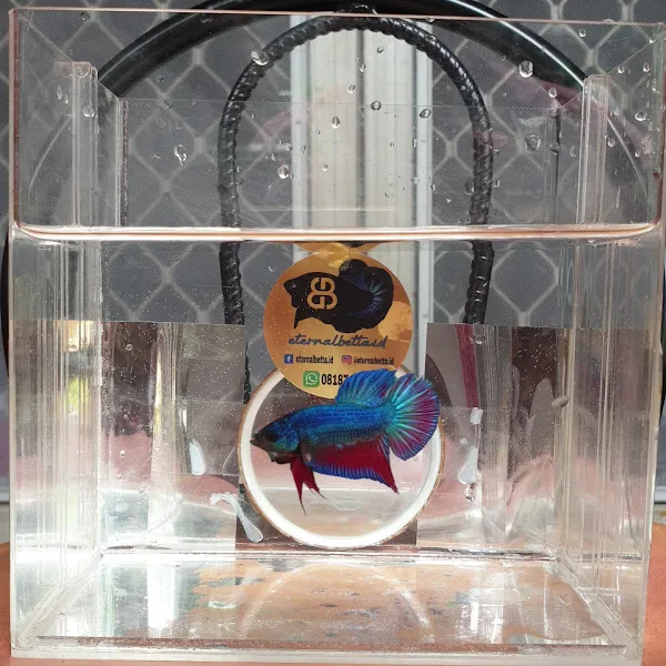 Souvenirbekasi